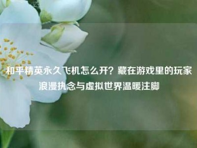 和平精英永久飞机怎么开？藏在游戏里的玩家浪漫执念与虚拟世界温暖注脚