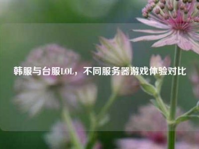 韩服与台服LOL，不同服务器游戏体验对比