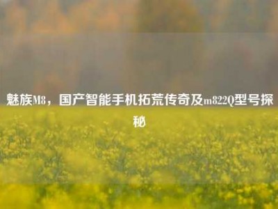 魅族M8，国产智能手机拓荒传奇及m822Q型号探秘