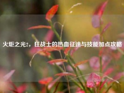 火炬之光2，狂战士的热血征途与技能加点攻略
