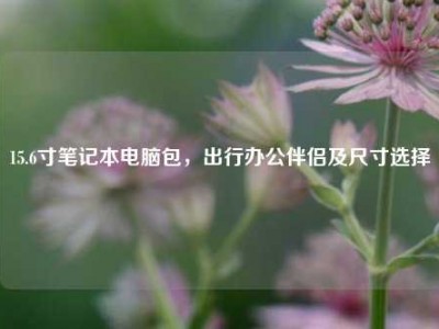 15.6寸笔记本电脑包，出行办公伴侣及尺寸选择