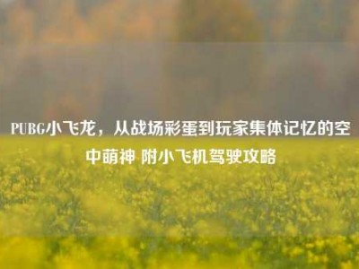 PUBG小飞龙，从战场彩蛋到玩家集体记忆的空中萌神 附小飞机驾驶攻略