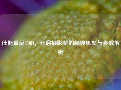 佳能单反450D，开启摄影梦的经典机型与参数解析