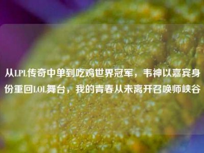 从LPL传奇中单到吃鸡世界冠军，韦神以嘉宾身份重回LOL舞台，我的青春从未离开召唤师峡谷