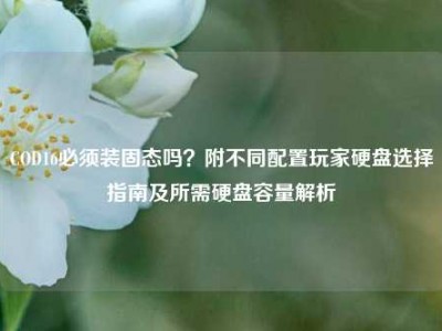 COD16必须装固态吗？附不同配置玩家硬盘选择指南及所需硬盘容量解析