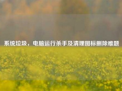系统垃圾，电脑运行杀手及清理图标删除难题