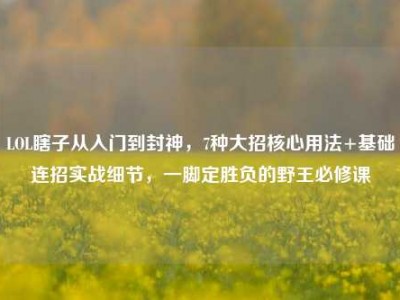 LOL瞎子从入门到封神，7种大招核心用法+基础连招实战细节，一脚定胜负的野王必修课