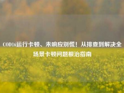 COD16运行卡顿、未响应别慌！从排查到解决全场景卡顿问题根治指南