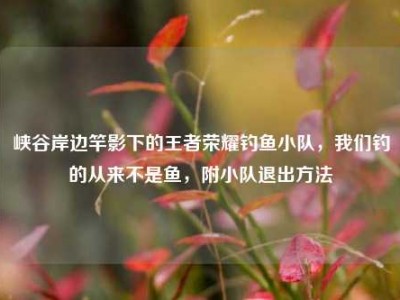峡谷岸边竿影下的王者荣耀钓鱼小队，我们钓的从来不是鱼，附小队退出方法