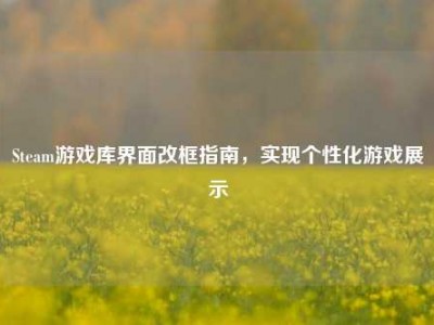 Steam游戏库界面改框指南，实现个性化游戏展示