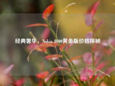 经典奢华，Nokia 8800黄金版价格探秘