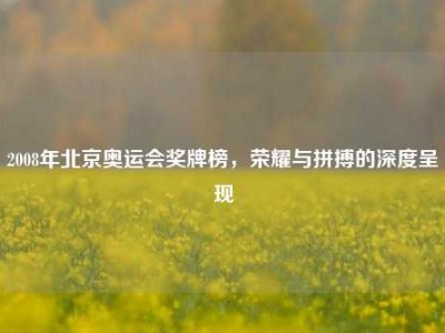2008年北京奥运会奖牌榜，荣耀与拼搏的深度呈现