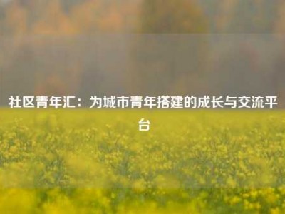社区青年汇：为城市青年搭建的成长与交流平台