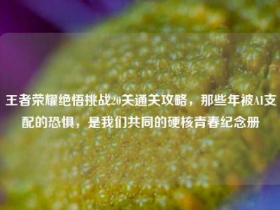 王者荣耀绝悟挑战20关通关攻略，那些年被AI支配的恐惧，是我们共同的硬核青春纪念册