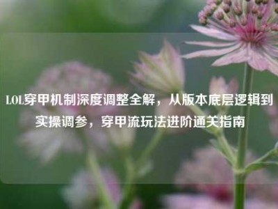 LOL穿甲机制深度调整全解，从版本底层逻辑到实操调参，穿甲流玩法进阶通关指南