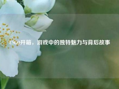 CSGO开箱，游戏中的独特魅力与背后故事