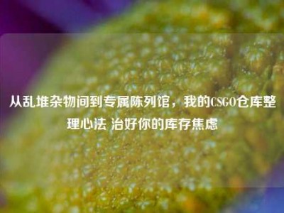 从乱堆杂物间到专属陈列馆，我的CSGO仓库整理心法 治好你的库存焦虑