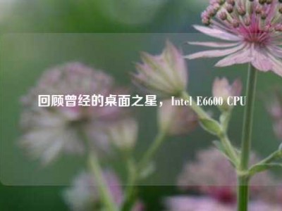 回顾曾经的桌面之星，Intel E6600 CPU