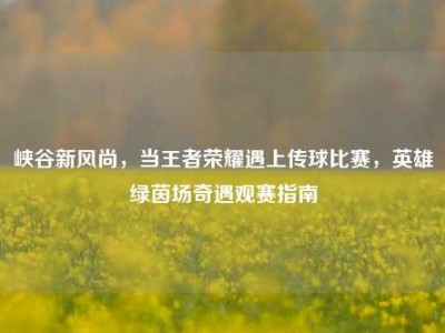 峡谷新风尚，当王者荣耀遇上传球比赛，英雄绿茵场奇遇观赛指南
