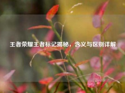 王者荣耀王者标记揭秘，含义与区别详解
