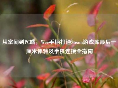 从掌间到PC端，Wee手柄打通Steam游戏库最后一厘米体验及手机连接全指南