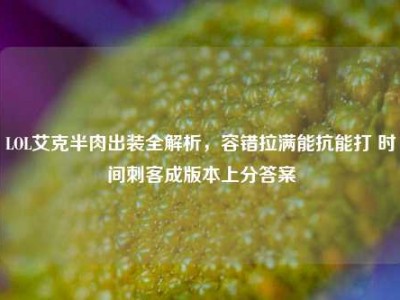LOL艾克半肉出装全解析，容错拉满能抗能打 时间刺客成版本上分答案