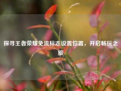 探寻王者荣耀免流标志设置位置，开启畅玩之旅