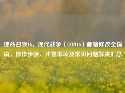 使命召唤16，现代战争（COD16）邮箱修改全指南，操作步骤、注意事项及常见问题解决汇总