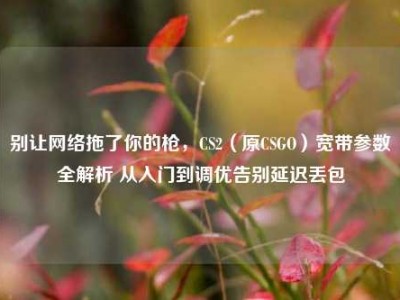 别让网络拖了你的枪，CS2（原CSGO）宽带参数全解析 从入门到调优告别延迟丢包