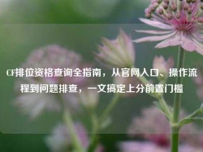 CF排位资格查询全指南，从官网入口、操作流程到问题排查，一文搞定上分前置门槛