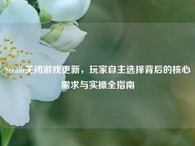 Steam关闭游戏更新，玩家自主选择背后的核心需求与实操全指南