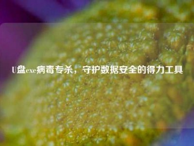 U盘exe病毒专杀，守护数据安全的得力工具