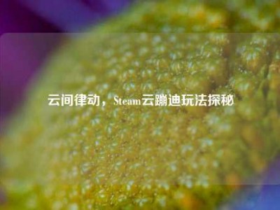 云间律动，Steam云蹦迪玩法探秘