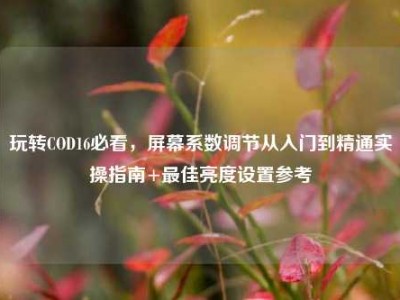 玩转COD16必看，屏幕系数调节从入门到精通实操指南+最佳亮度设置参考