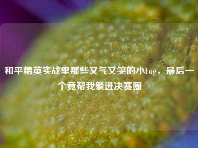 和平精英实战里那些又气又笑的小bug，最后一个竟帮我躺进决赛圈