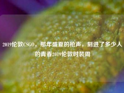 2019伦敦CSGO，那年盛夏的枪声，刻进了多少人的青春2019伦敦时装周