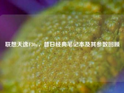联想天逸F30a，昔日经典笔记本及其参数回顾