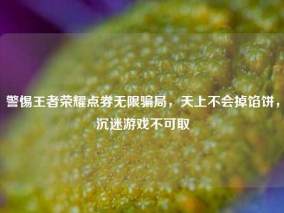 警惕王者荣耀点券无限骗局，天上不会掉馅饼，沉迷游戏不可取