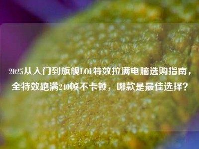 2025从入门到旗舰LOL特效拉满电脑选购指南，全特效跑满240帧不卡顿，哪款是最佳选择？