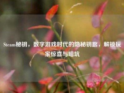 Steam秘钥，数字游戏时代的隐秘钥匙，解锁玩家惊喜与暗坑