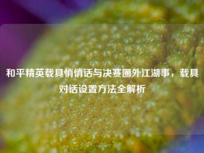 和平精英载具悄悄话与决赛圈外江湖事，载具对话设置方法全解析