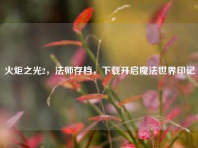 火炬之光2，法师存档，下载开启魔法世界印记