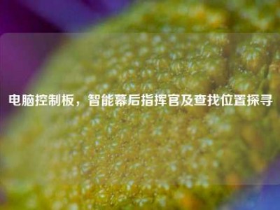 电脑控制板，智能幕后指挥官及查找位置探寻