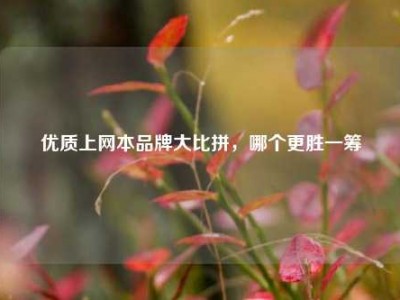 优质上网本品牌大比拼，哪个更胜一筹