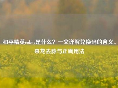 和平精英cokey是什么？一文详解兑换码的含义、来龙去脉与正确用法