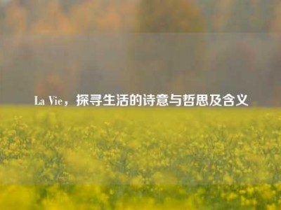 La Vie，探寻生活的诗意与哲思及含义