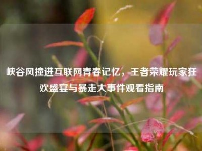 峡谷风撞进互联网青春记忆，王者荣耀玩家狂欢盛宴与暴走大事件观看指南