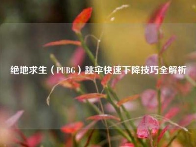 绝地求生（PUBG）跳伞快速下降技巧全解析