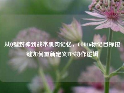 从Q键封神到战术肌肉记忆，COD16标记目标按键如何重新定义FPS协作逻辑
