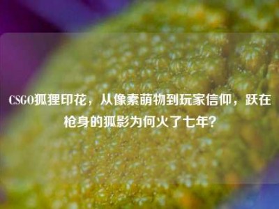 CSGO狐狸印花，从像素萌物到玩家信仰，跃在枪身的狐影为何火了七年？